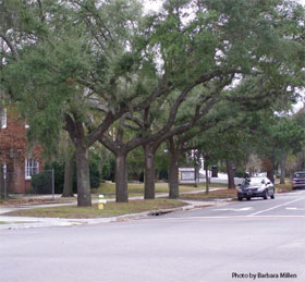 A North Charleston, South Carolina residential area. Photo by Barbara Millen