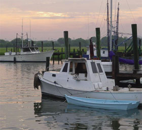 Shrimp and other trawlers and boats docked in Mt Pleasant, South Carolina